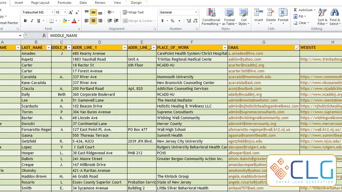 How to Build a Verified B2B Contact Database How to Build a Verified B2B Contact Database visual guide by Cheap Lead Generation